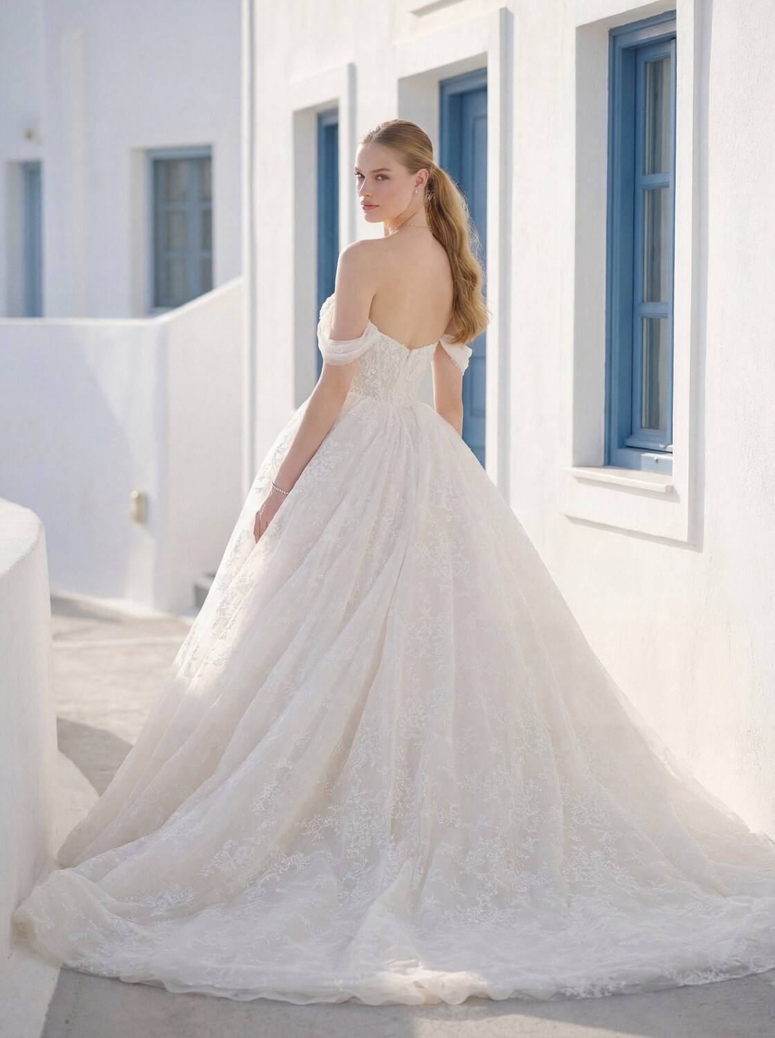 Tulle Ball Gown brudekjole set bagfra med fyldigt blondeskørt og slæb